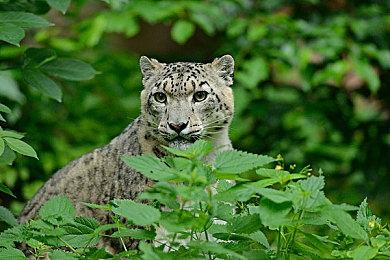 银河系中最凶残的厨师将在11月2日发布的《宇宙汉堡王》中登陆主机平台